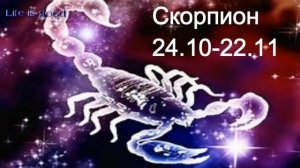 Знак зодиака Скорпион : характеристика,талисман, характер, здоровье