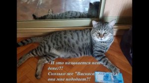 Любимый кот Кузя поет, ест чупа-чупсы и храпит-Вес-На Ларина