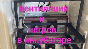 Вентиляция и нагрев  инкубатора  #Инкубатор своими руками