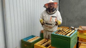 Объединение семей осенью. Не жалейте слабышей.