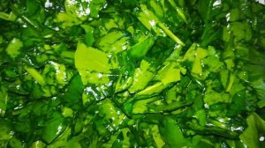 КАК ВКУСНО ПРИГОТОВИТЬ ШПИНАТ / spinach