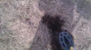 копаем монеты курганская область