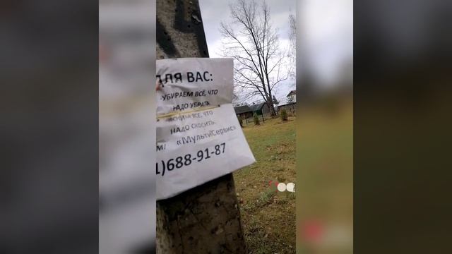 Прикольные объявления