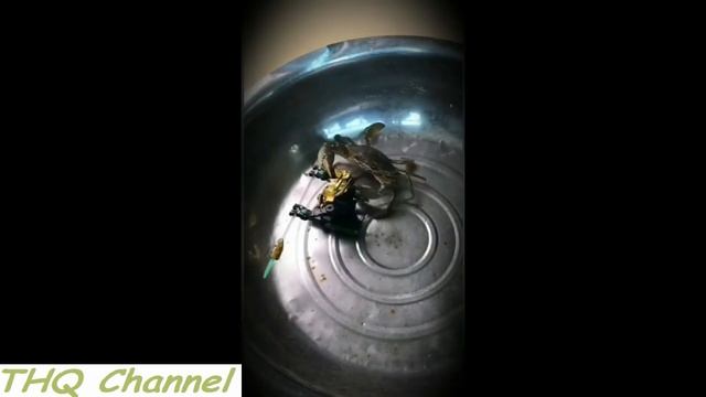 Robot vs Crab || Battle Fight ! Which win ? смотреть онлайн