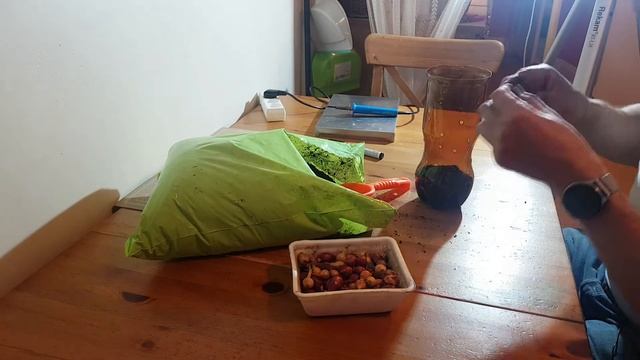 Зеленый лук в пластиковой бутылке смотреть онлайн