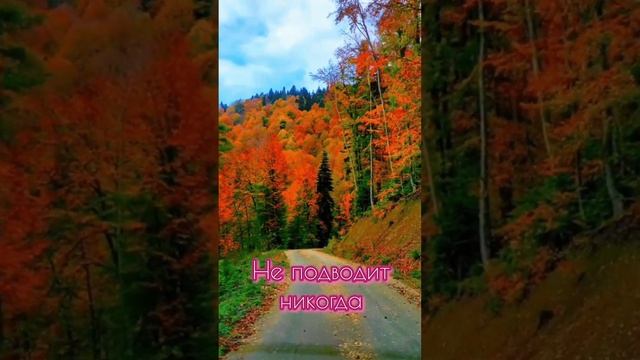 С Днём Автомобилиста! 29октября смотреть онлайн