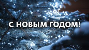 Коллектив ZZBO поздравляет всех с наступающим Новым годом!