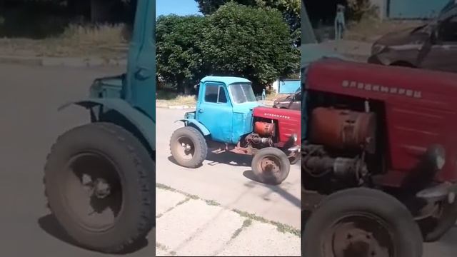 Что ж ты за зверь такой #врек