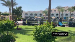 Sunrise Montemare 5*, Египет, Шарм ель Шейх - свежий обзор, сентябрь 2021