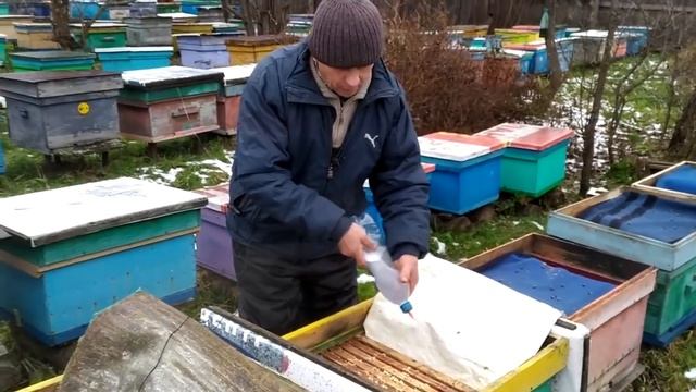 КАК ПРАВИЛЬНО ОБЪЕДИНИТЬ ПЧЕЛОСЕМЬЮ, ПРОЛЕЧИТЬ И ПОСТАВИТЬ ВОЩИНУ ДЛЯ ОБНОВЛЕНИЯ ГНЕЗДА, ответы.