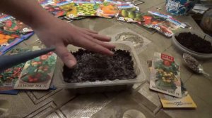 Сеем томаты по-хитрому