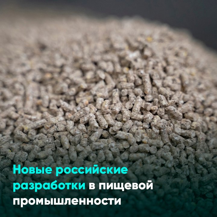 Новые российские разработки в пищевой промышленности