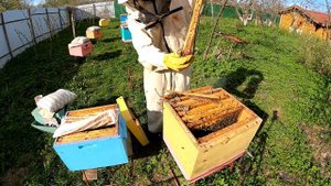 Установка вторых корпусов пчелам (часть 1)