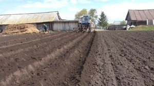 ТРАКТОР БЕЛАРУСЬ МТЗ-80 ДЕЛАЕТ КАНАВУ ДЛЯ ПОСАДКИ КАРТОШКИ!!!