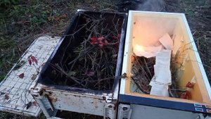 Купил заброшенную дачу привожу дачу в порядок как убрать мусор с участка сухие яблони деревья кусты