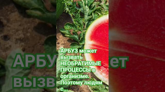 АРБУЗ может вызвать НЕОБРАТИМЫЕ ПРОЦЕССЫ в организме. Поэтому людям с. #здоровье #здоровыйобразжизн смотреть онлайн
