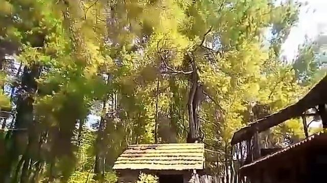 Пицунда Абхазия Гуляю, а Денис уехал газовое оборудование ставить смотреть онлайн