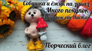 Мноооооого пряжи__Мой хомяк жгёт😁__Ёжик и Совушка на заказ❤️__Подарок от Насти__Вышивка__