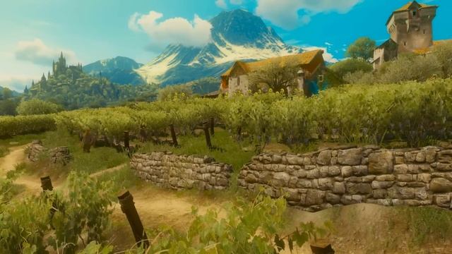 Ведьмак 3 и 15 неизвестных фактов про Туссент смотреть онлайн