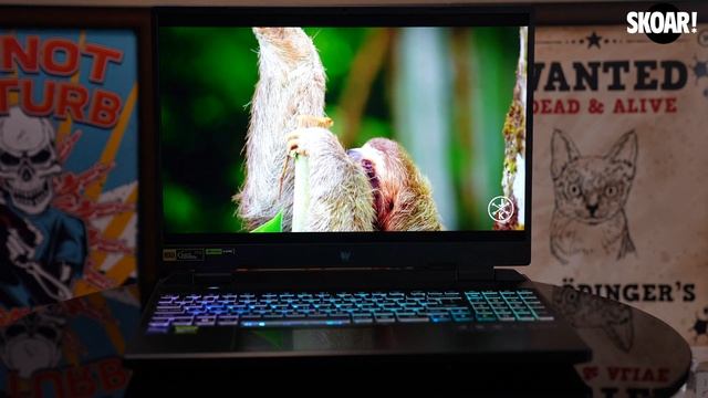 Acer Predator Helios Neo 16 review - Acer's most value for money gaming laptop yet??!! смотреть онлайн