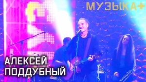 Музыка+. Алексей Поддубный.