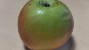 КАК ВЫТЯНУТЬ СЕРИЮ ЕСЛИ ТЫ НЕ ШАЛТАЙ БАЛТАЙ?