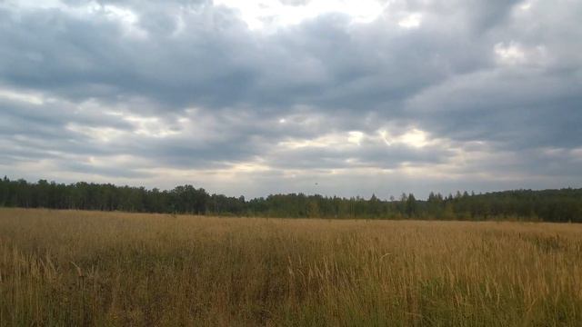 Пилотаж на RC самолёте DHC - 2. смотреть онлайн