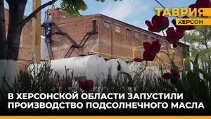 В Херсонской области запустили производство подсолнечного масла
