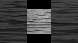 1000019152.mp4