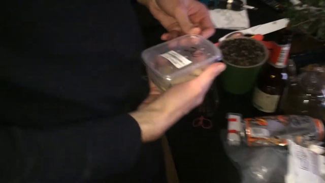 Ворон Тень лакомится зофобосами смотреть онлайн