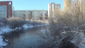 Очень много уток в реке Исеть возле пешеходного моста в ЦПКиО им. Маяковского в Екатеринбурге