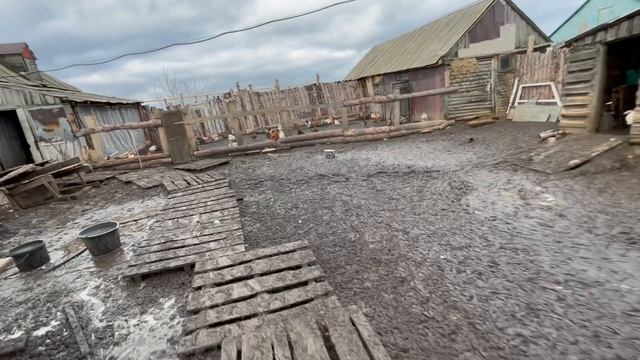 15-11-2023 смотреть онлайн