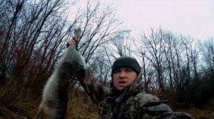 УДАЧНАЯ ОХОТА на ЗАЙЦА 2021. Дратхаар, Армсан 612