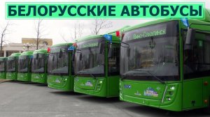 Белорусские автобусы, работающие на газомоторном топливе доставили в Южно-Сахалинск