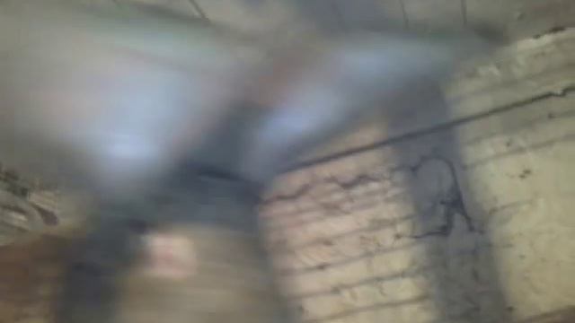 Самые крупные кролики в Армении (Гюмри) тел...(094259324) смотреть онлайн