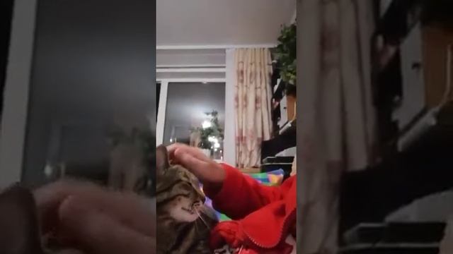 Муся репетировал сказку о Красной Шапочке ...? смотреть онлайн