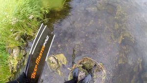 Подводная охота на сазана. Лето 2019, на малых реках.