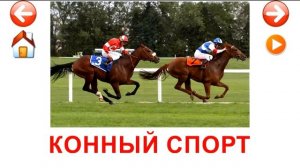 Развивающие карточки Домана. Виды спорта.