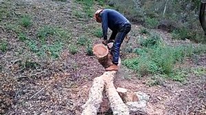 STIHL MS 150 TC - E