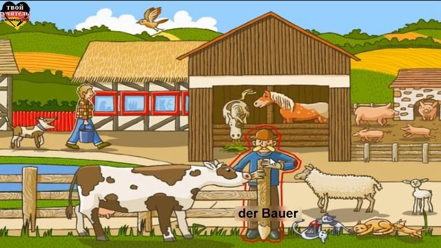 Haustiere. ??? домашние животные на немецком.??? Немецкий язык.