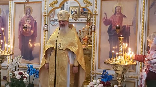 Проповедь на Литургии. Праздник иконы Божией Матери "Всех скорбящих Радость." Архимандрит Амвросий смотреть онлайн