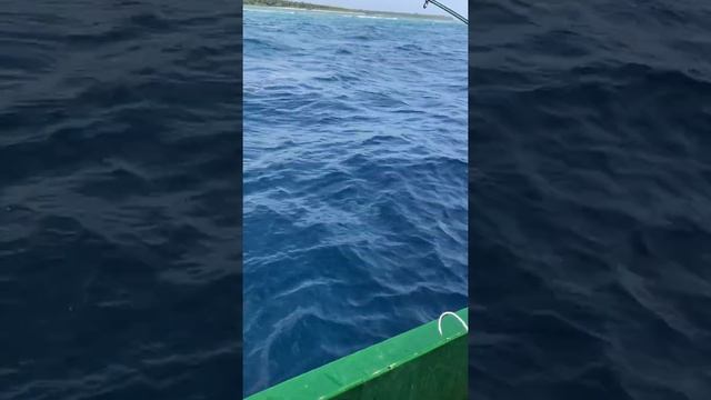 Коранкс поппинг смотреть онлайн