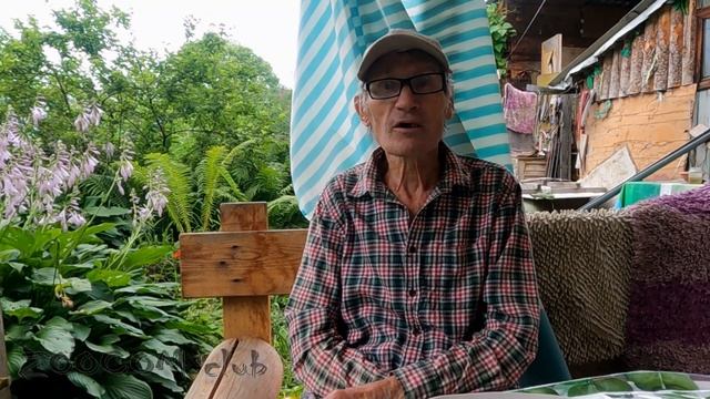 Найти женьшень, не встретить тигра. смотреть онлайн