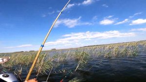 Рыбалка на озере, где обитает крупный карась. Делимся своими лайфхаками и опытом.