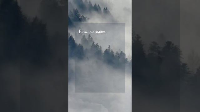 Почему что-то не получается, не складывается? #shorts смотреть онлайн