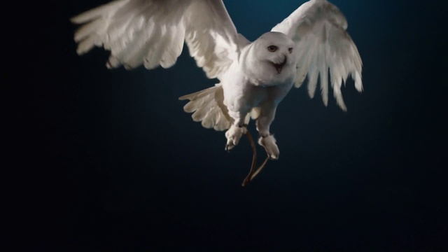 Clean Bandit feat. Louisa Johnson - Tears (Wideboys Remix) смотреть онлайн