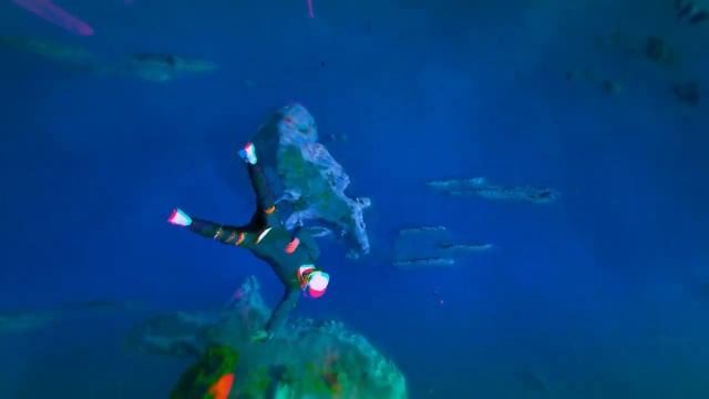 ХЭЛЛОУИНСКОЕ ОБНОВЛЕНИЕ НА ГТА 5 РП! HALLOWEEN НА GTA 5 RP RAINBOW! НОВЫЙ ИВЕНТ! смотреть онлайн