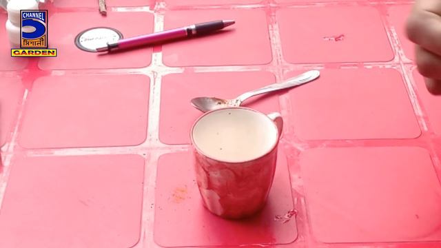 ঘরে তৈরি ৫ টি শক্তিশালী রুটিং হরমোন ! 5 Powerful homemade rooting hormone !