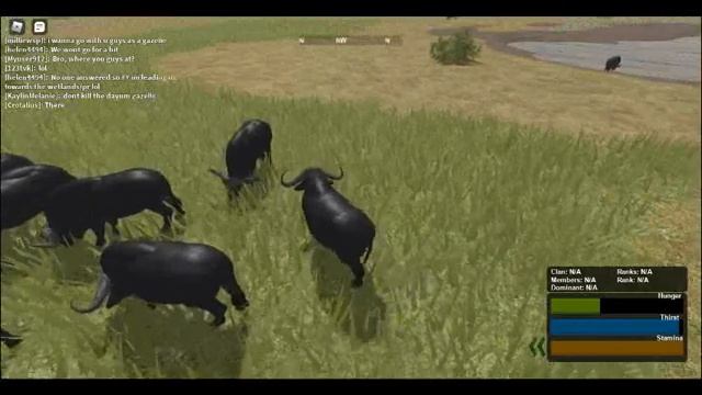 *HUGE* New WILD SAVANNA Testing a BUFFALO and GiRAFFE Update! | ROBLOX смотреть онлайн