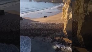 Вся вселенная помогает мне